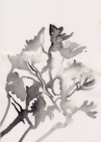 http://www.soerenhiob.com/files/gimgs/th-99_4  15.jpg
